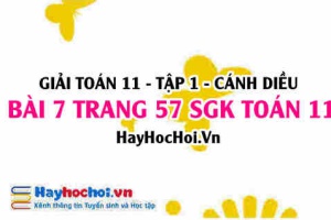 Giải bài 7 trang 57 Toán 11 tập 1 SGK Cánh Diều